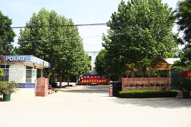 �S�^(q��)���T